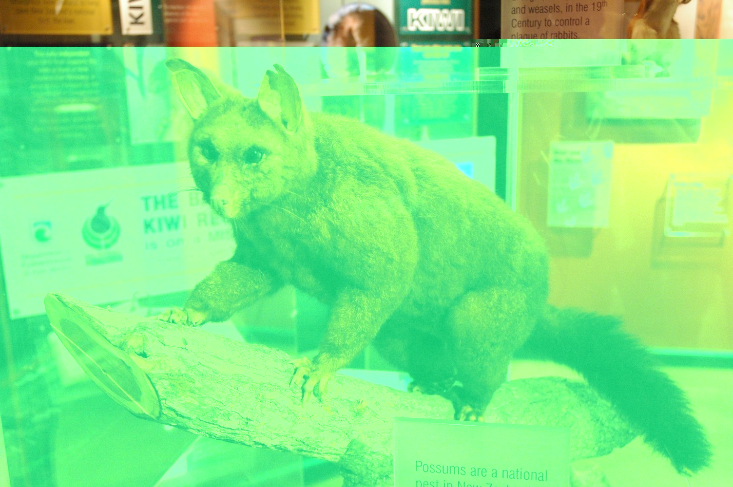 370   04 02   Rotorua